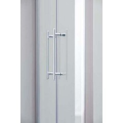Душевая дверь SSWW LD60-Y22 1000x1950